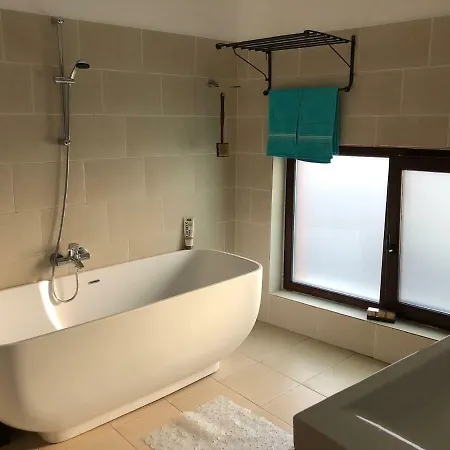 Apartament Apartament Centru Ibis *